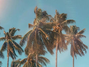 Selling to Distracted Audiences: How to Keep Engagement High This Summer