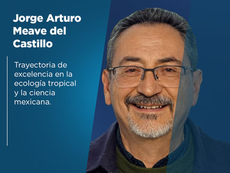 Jorge Arturo Meave del Castillo: Trayectoria de excelencia en la ecología tropical y la ciencia mexicana