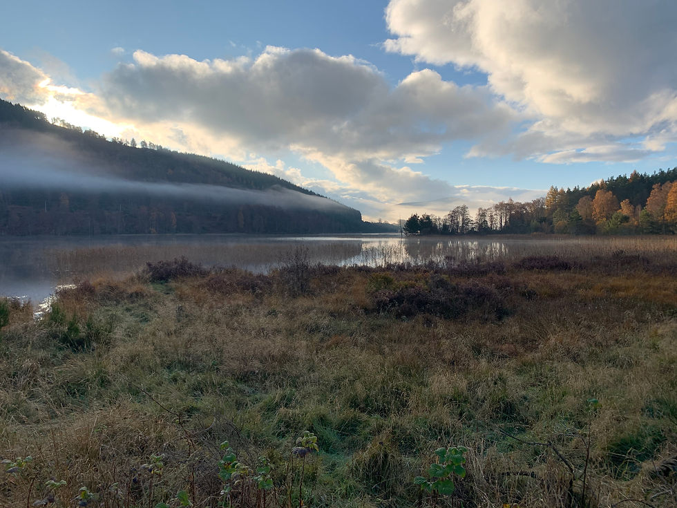 Late autumn trees surrounding a lake, sun rising.