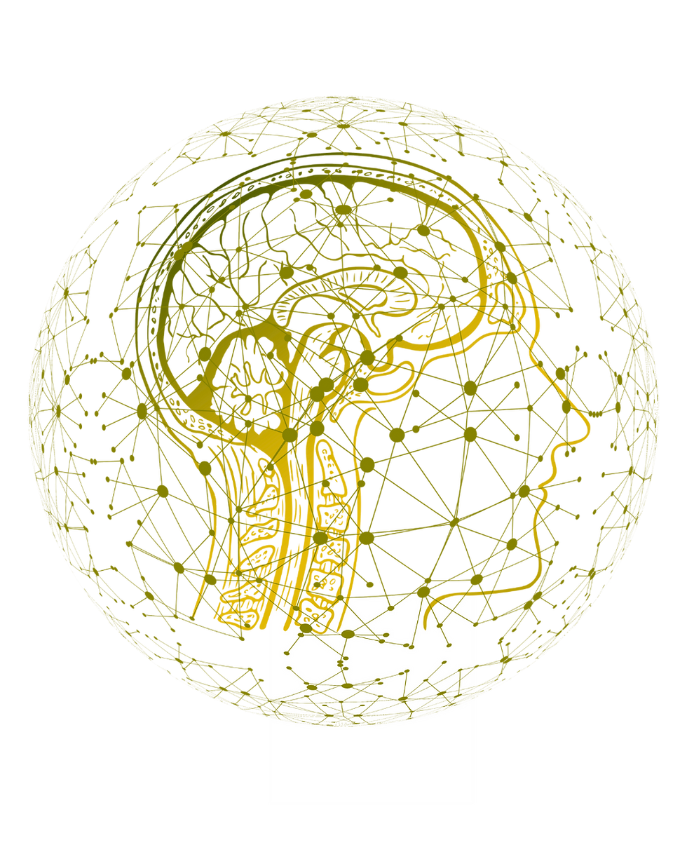 Cerebro.png