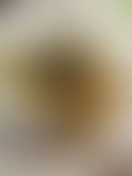 Top 5 Taiwanese Street Food