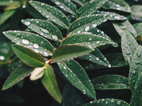 Трябва да се научим да си почиваме, а не да се отказваме.