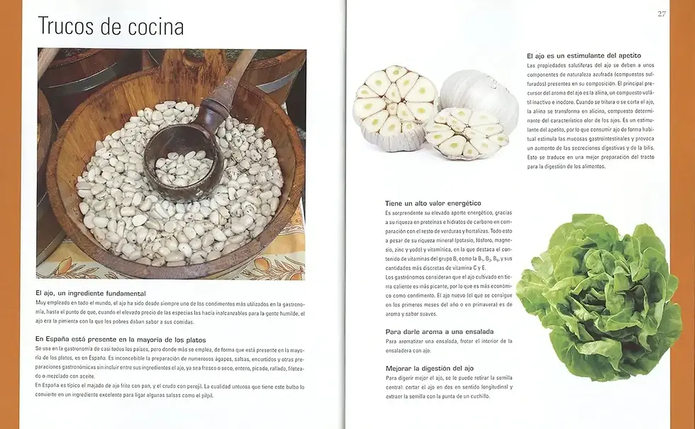 Miniatura: EL AJO. Curiosidades y recetas