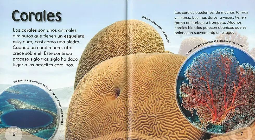 Miniatura: EL PEZ PAYASO Y OTRAS CRIATURAS DEL ARRECIFE DE CORAL