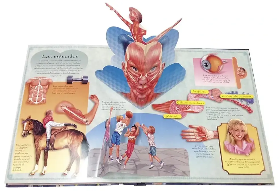 Miniatura: EL CUERPO HUMANO. Pop-ups fantásticos