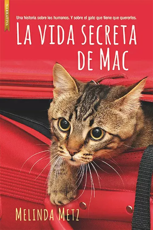 LA VIDA SECRETA DE MAC. El gato MacGyver 2