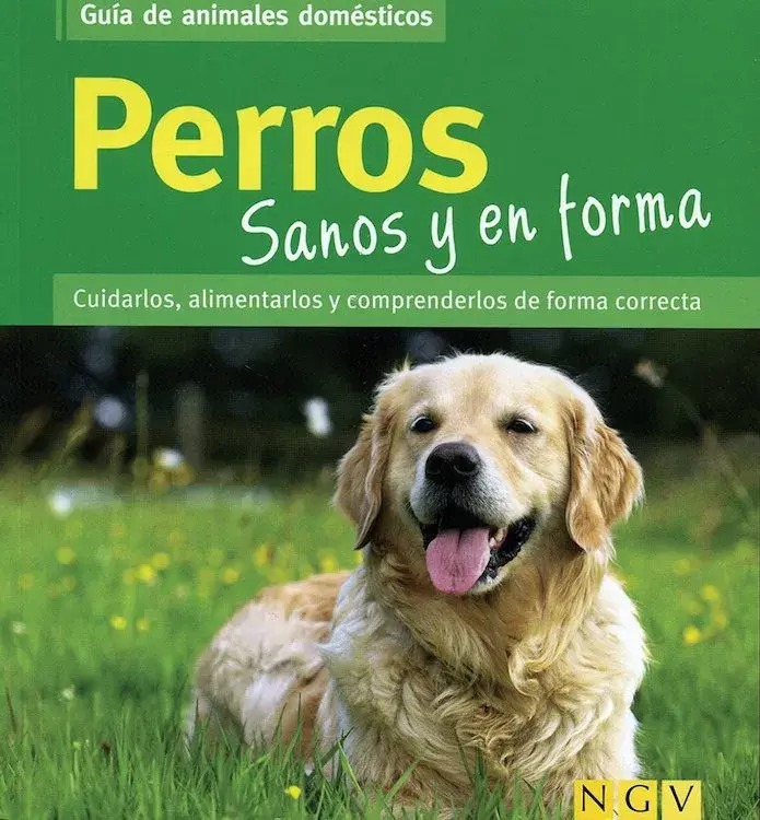 PERROS SANOS Y EN FORMA