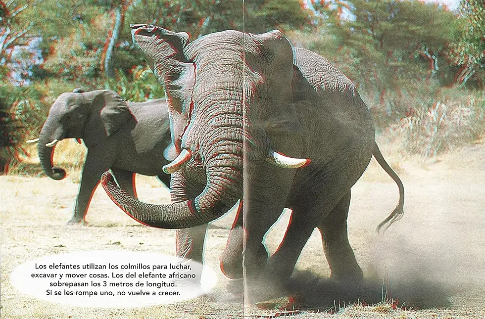 Miniatura: ANIMALES SALVAJES PEGATINAS 3D