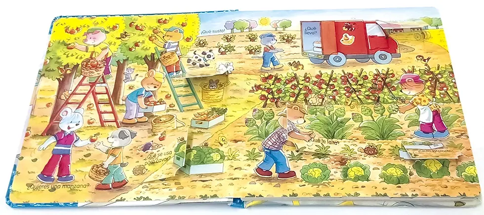 Miniatura: LA FRUTERÍA. Mira por la ventana