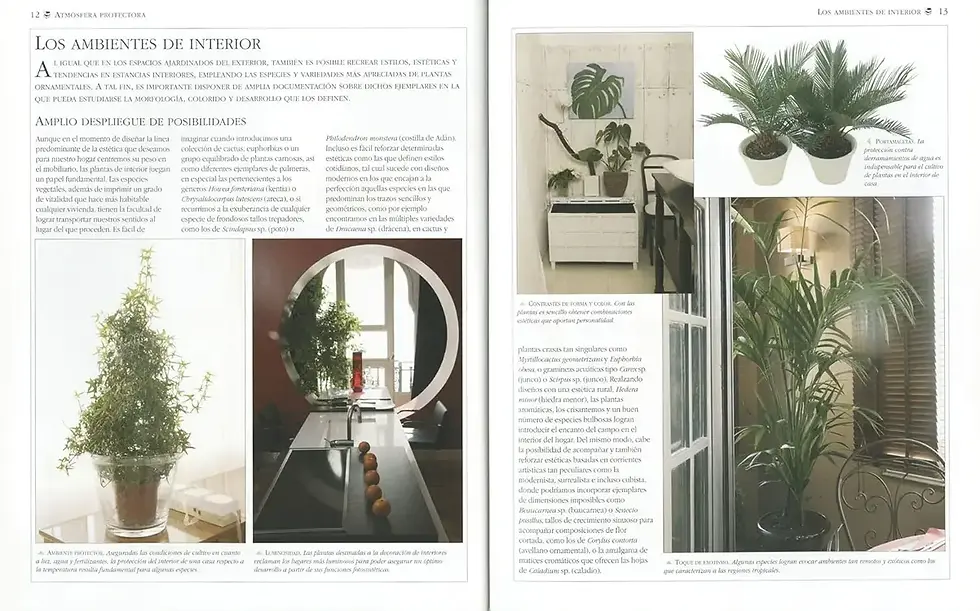 Miniatura: PLANTAS DE INTERIOR. Plantas de jardín