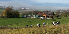 Pflanzung biodiverse Hecke