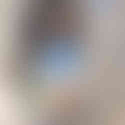 [2025.11.01] Pause & Paint v3