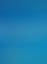 Community Health Workers