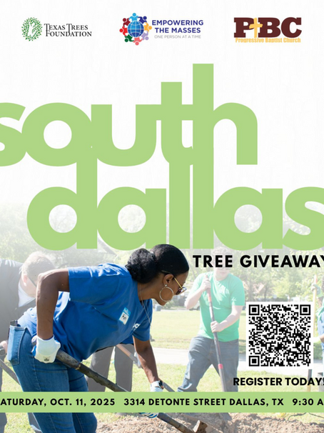 Tree Giveaway