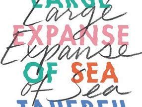 A Very Large Expanse Of Sea