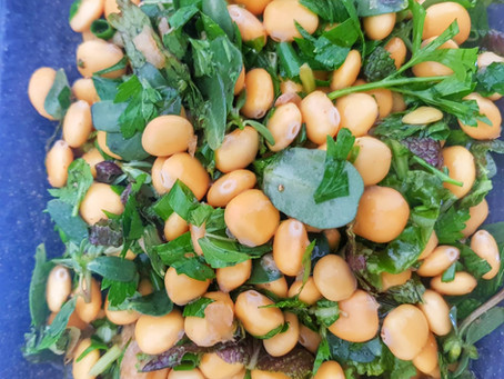 Amazing Lupine Beans Salad that also treats Diabetes & Cholesterol