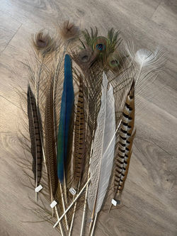 specialty feathers