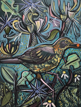 Female Blackbird with Honeysuckle