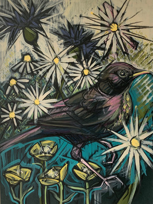 Female Blackbird