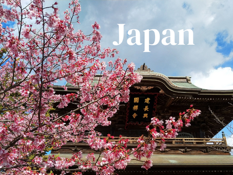 Tai Chi Retreat – ein Monat Training in Japan - bei HME Senior Paul mc Intyre - deutsch
