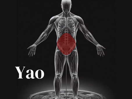 Richtige Körperhaltung im Tai Chi & Qi Gong - das Yao