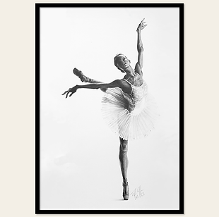 bailarina quadro.png