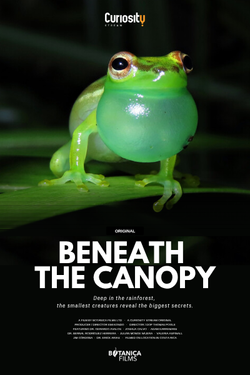 Beneath_the_Canopy_one_sheet_tree_frog_preview