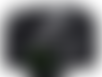 Win a Nikon B500 Coolpix Digital Compact Camera