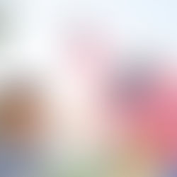 July 4th Cookout Recipes