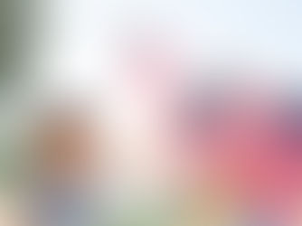 July 4th Cookout Recipes