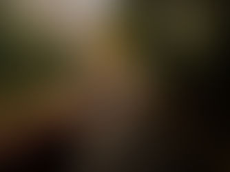 Why Nature Makes You a Better Partner