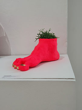 A bright pink sculpture of a foot, with gold painted toenails and a spiky plant at the ankle.