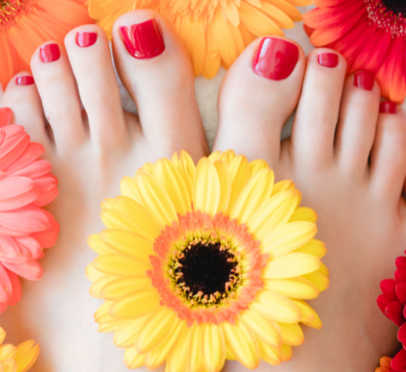 Feet with red nail polish are surrounded by colorful gerbera daisies in a close-up, creating a cheerful and vibrant scene.