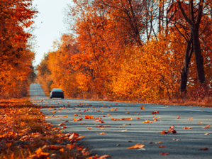 Fall Car Maintenance Checklist for Springfield, MO Drivers – Get Ready Before the Cold Hits