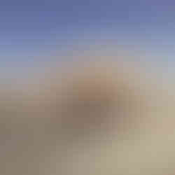 مظلة سياره