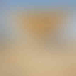 مظلات سيارات