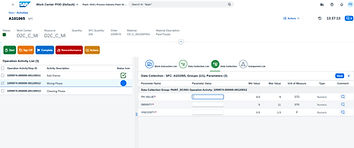 SAP Digital Manufacturing Page