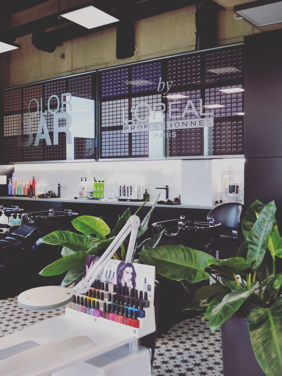 KAKTUS DISAIN oü • sisekujundaja viljandis