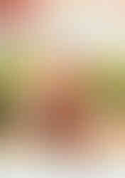 Babe, el cerdito en la ciudad