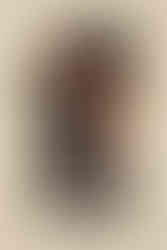 Cartel de la película Sicario