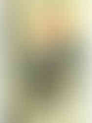 cartel del planeta de los simios