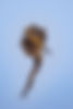 20201228 5600_ - 18-topaz-sharpen.jpg