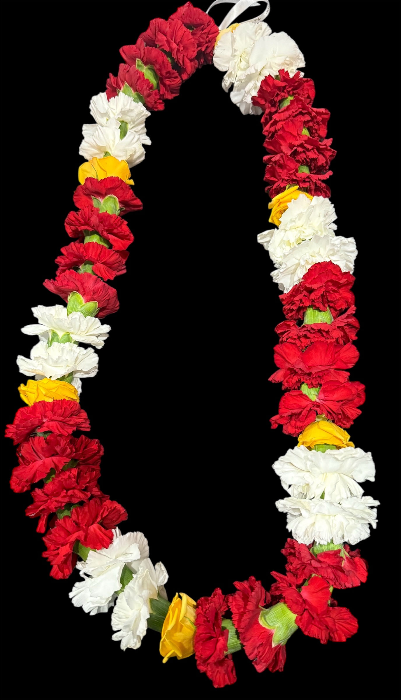 Carnation with Rose Lei