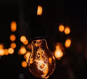 light bulb.png