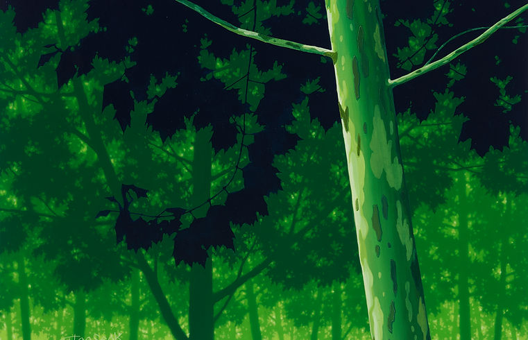 자연·이미지(Nature·Image), 100x80.3cm, Acrylic on Canvas, 2016 (40호F).jpg