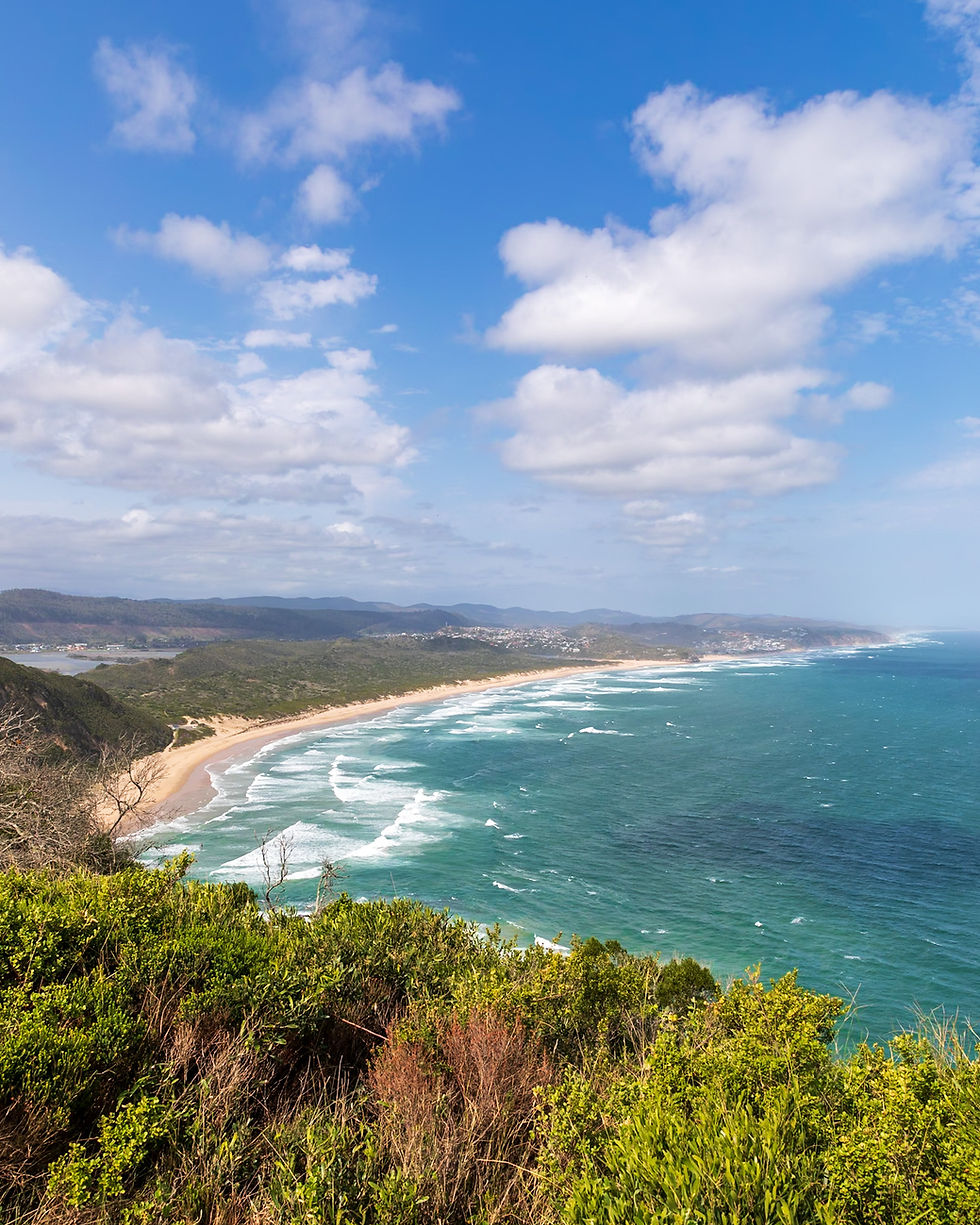 The magnificent Fynbos and the Garden Route coastline