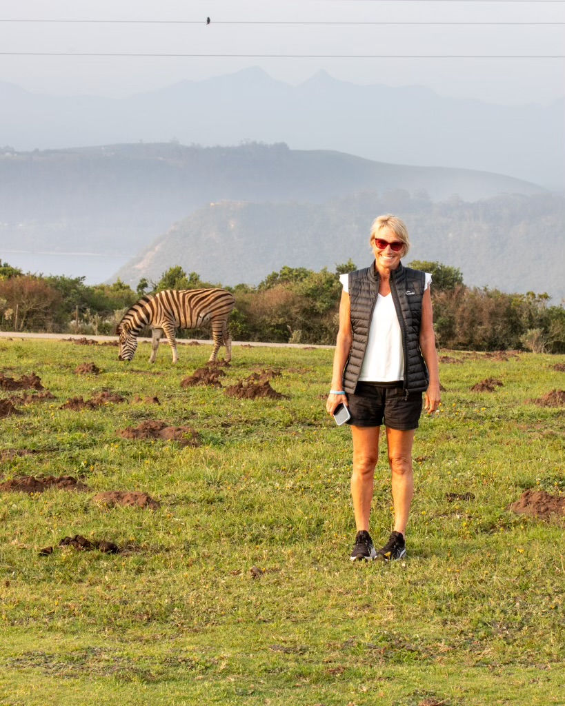 Morning walks with zebra