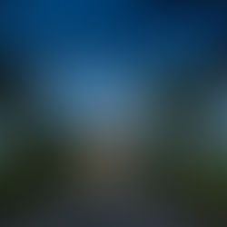 Experience an Unforgettable Stay at Zone Niathu by The Park, Nagaland