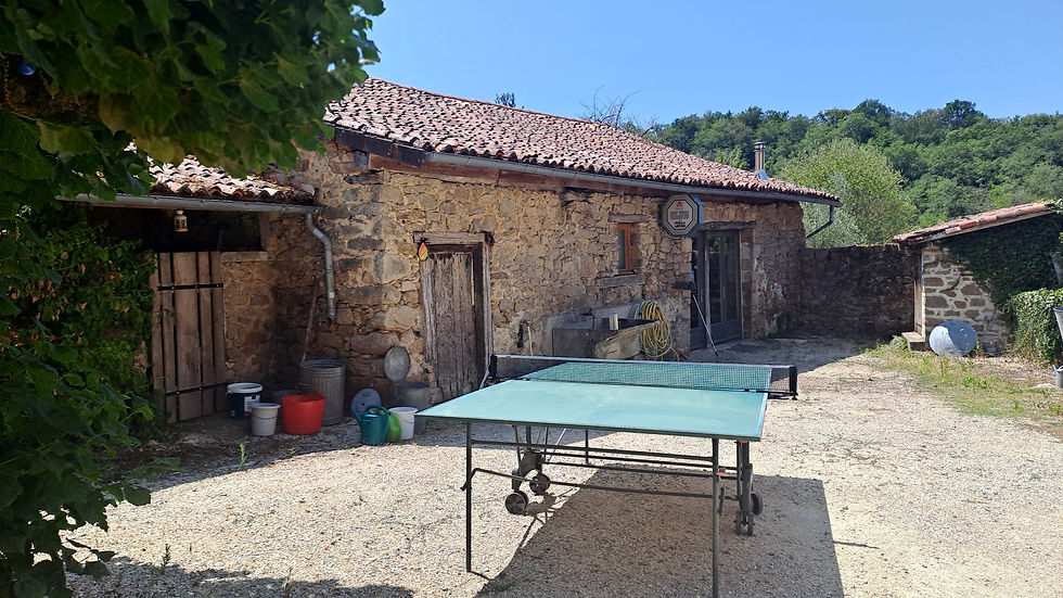 Table tennis
