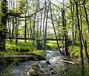 The Gorre